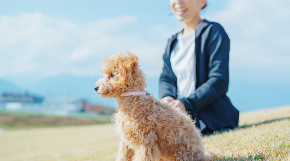 私たちの想い